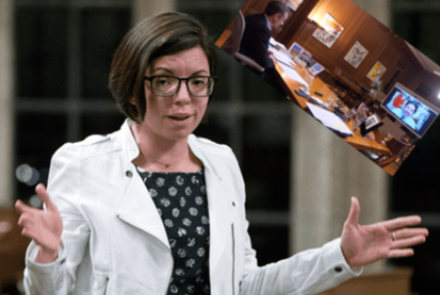 Niki Ashton